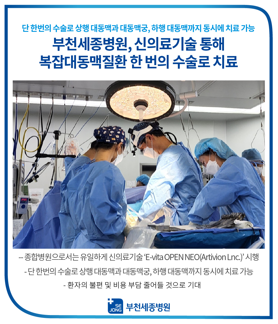 로고140_4420220407_대동맥궁 수정-100.jpg